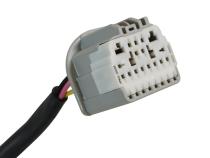 High Idle Control Ford F-Series Superduty F250 / F350 / F450 / F550 / F600 2023+ BD Diesel